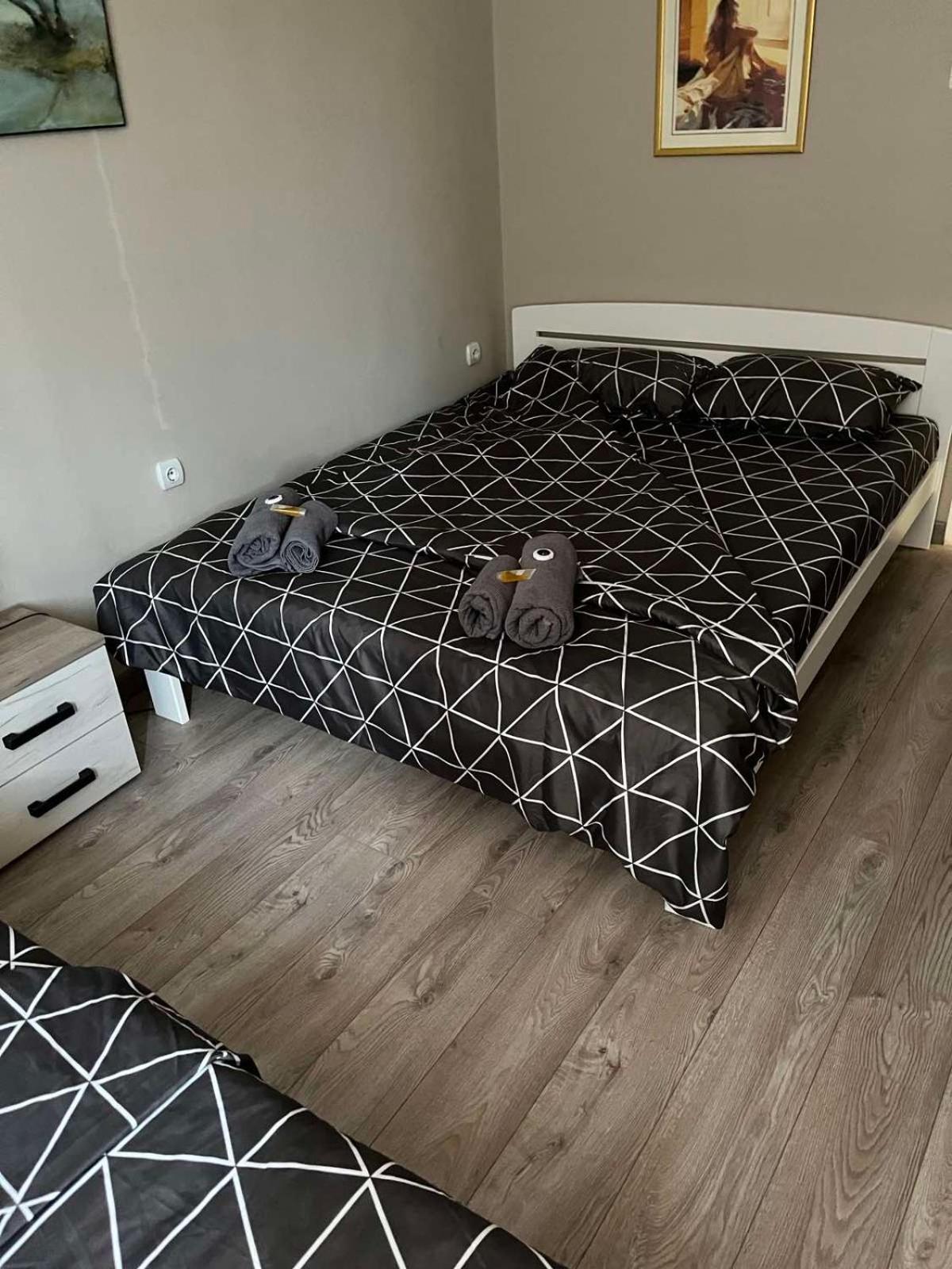 Apartman Petrov Donji Milanovac Extérieur photo